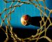 Διαδικτυακή ημερίδα για το μπάσκετ στην εποχή του κορωνοϊού